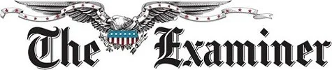 Feature article